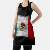 メキシコ国旗のブラシのストローク、国旗 エプロン (インサイチュ)