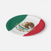 メキシコ国旗のプレート、パーティー、スポーツ、メキシコ ペーパープレート (アングル)