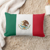 メキシコ国旗の枕 ランバークッション (ブランケット)