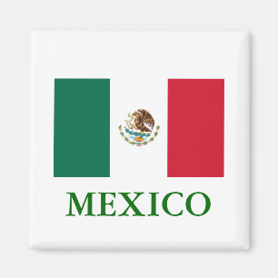メキシコ国旗の磁石 マグネット