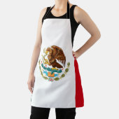 メキシコ国旗 エプロン (インサイチュ)