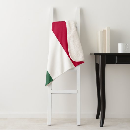 メキシコ国旗 シェルパブランケット (インサイチュ)