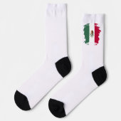 メキシコ国旗 ソックス (左)
