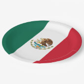 メキシコ国旗、バンデラ・ド・メキシコ ペーパープレート (アングル)