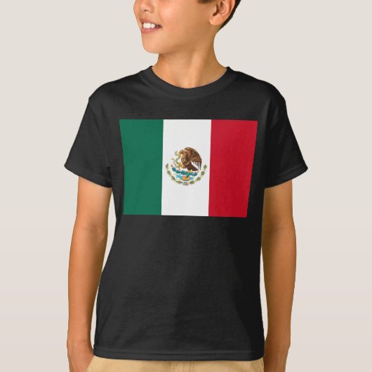 メキシコ国旗、バンデラ・ド・メキシコ Tシャツ (正面)