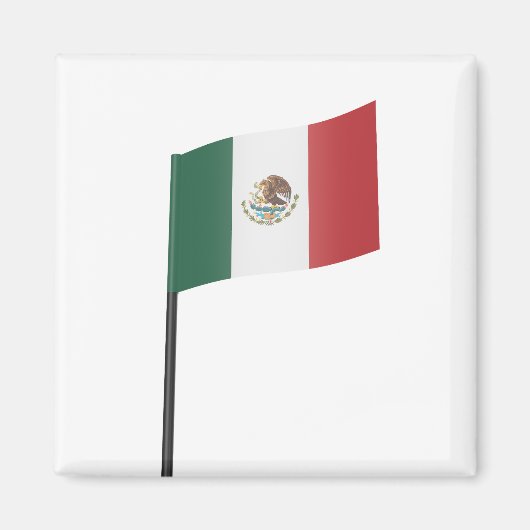 メキシコ国旗 マグネット (正面)