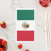 メキシコ国旗 – メキシコ国旗 (インサイチュ)