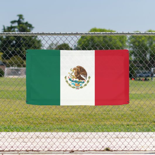 メキシコ国旗 横断幕 (インサイチュ)