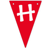 メキシコ料理タコ火曜日20日2回目の誕生日 バンティングフラッグ (第2の旗)