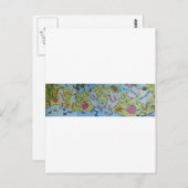 メキシコ料理 ポストカード (正面/裏面)