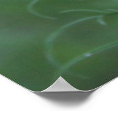 メキシコ星状体 ポスター (角)