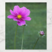 メキシコ星状体 ワインラベル (シングルラベル)