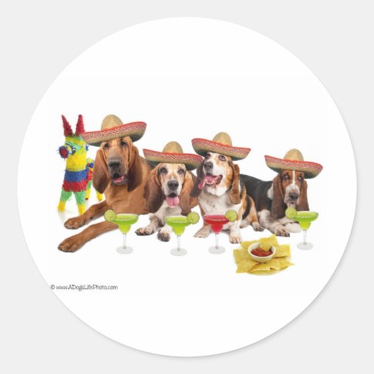 メキシコ最上級 ラウンドシール (正面)