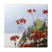 メキシコ極楽鳥 タイル (正面)