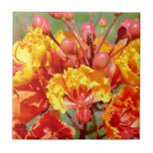 メキシコ極楽鳥 タイル (正面)