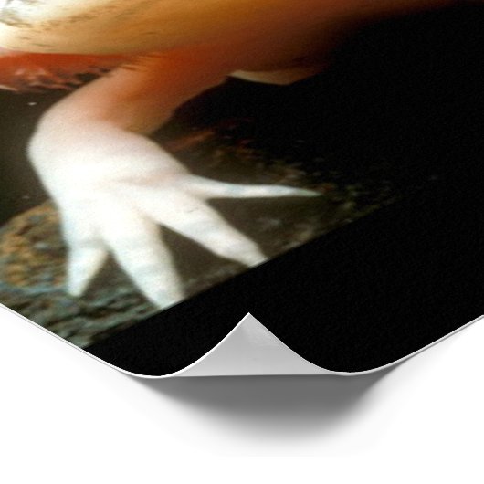 メキシコ歩く魚 ポスター (角)