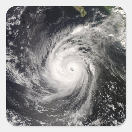 メキシコ沖ハリケーンノーバート スクエアシール (正面)