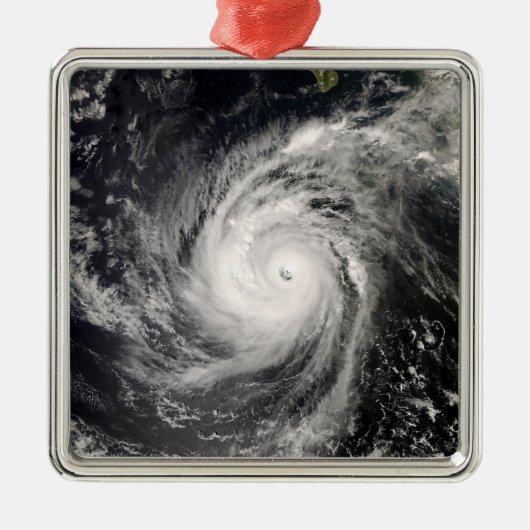 メキシコ沖ハリケーンノーバート メタルオーナメント (正面)