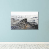 メキシコ湾の油の一部 キャンバスプリント (インサイチュ (ウッドフロア))