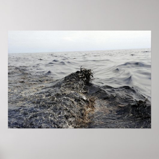 メキシコ湾の油の一部 ポスター (正面)