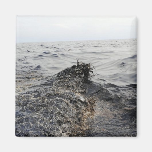 メキシコ湾の油の一部 マグネット (正面)