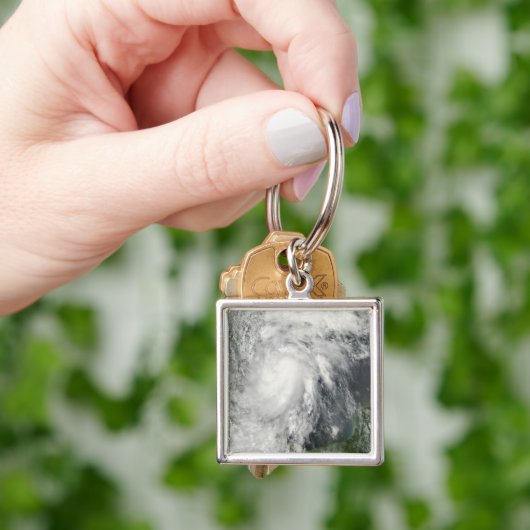 メキシコ湾の熱帯性嵐ハーミン キーホルダー (手)