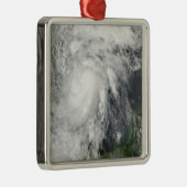 メキシコ湾の熱帯性嵐ハーミン メタルオーナメント (右)