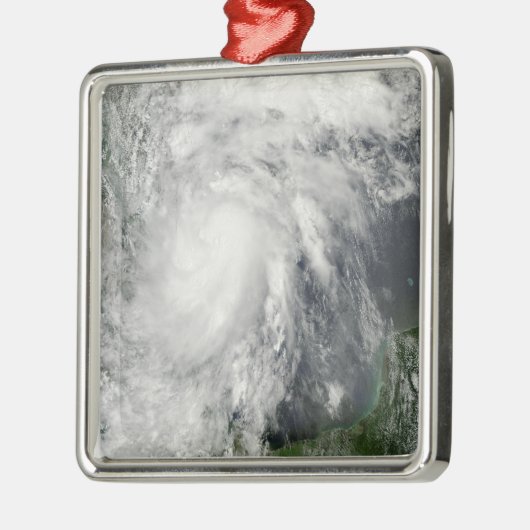 メキシコ湾の熱帯性嵐ハーミン メタルオーナメント (左)