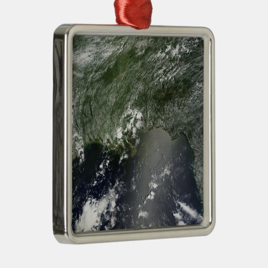 メキシコ湾の衛星観測2 メタルオーナメント (右)