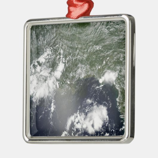 メキシコ湾の衛星観測 メタルオーナメント (左)