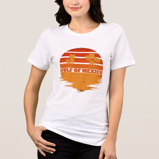 メキシコ湾ステイ塩辛ヴィンテージ トライブレンドTシャツ (正面)