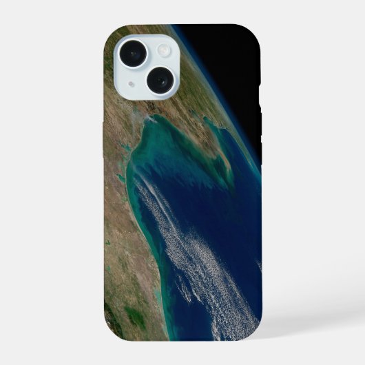 メキシコ湾北部 iPhone 15ケース (裏面)