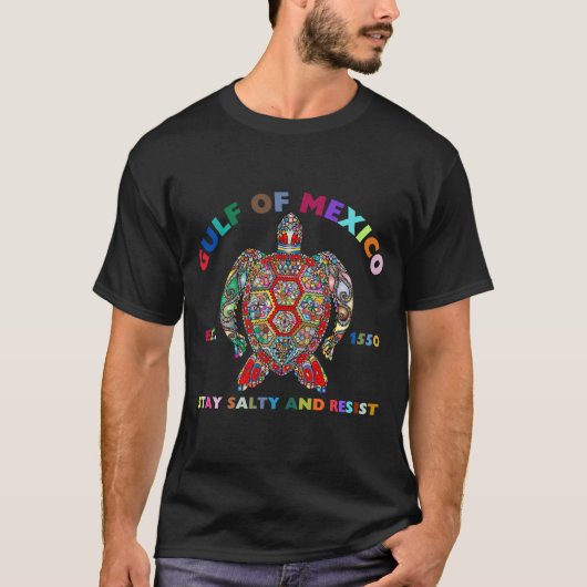 メキシコ湾 Tシャツ (正面)
