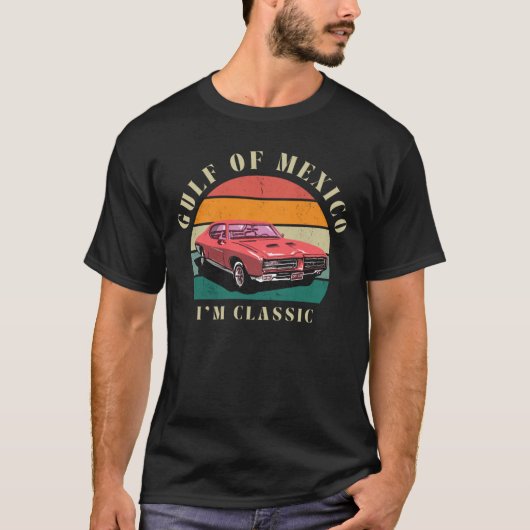メキシコ湾imクラシック tシャツ (正面)