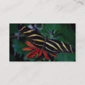 メキシコ燃えるようなつる植物の花のシマウマの蝶 名刺 (裏面)