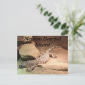 メキシコ産ひげトカゲ ポストカード (スタンド正面)