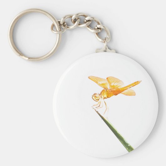 メキシコ産アンバーウィングトンボ キーホルダー (正面)