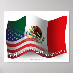 メキシコ系アメリカ国旗 ポスター