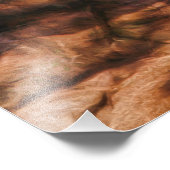 メキシコ赤狼デザートトレック フォトプリント            (角)