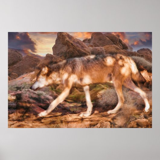 メキシコ赤狼デザートトレック ポスター (正面)