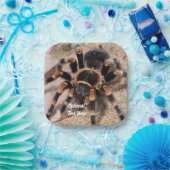 メキシコ赤膝タランチュラスパイダー ペーパープレート (パーティー)