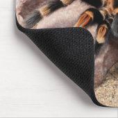 メキシコ赤膝タランチュラスパイダー マウスパッド (コーナー)