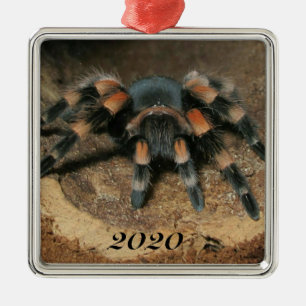 メキシコ赤膝タランチュラスパイダー メタルオーナメント