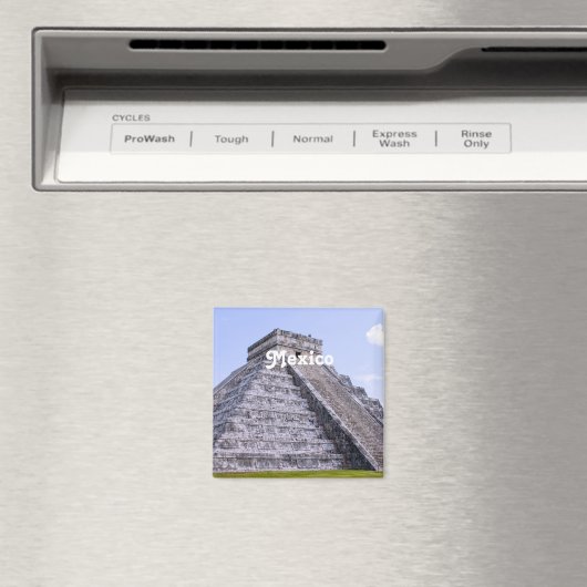 メキシコ遺跡 マグネット (インサイチュ (食洗機))