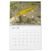 メキシコ2011のカレンダーの淡水魚 カレンダー (3月 2027)