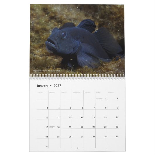 メキシコ2011のカレンダーの淡水魚 カレンダー (1月 2027)