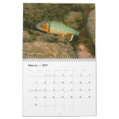 メキシコ2011のカレンダーの淡水魚 カレンダー (2月 2027)