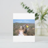 メキシコ，エンセナダ ポストカード (スタンド正面)