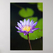 メキシコ，カンクン ポスター (正面)