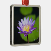 メキシコ，カンクン メタルオーナメント (右)